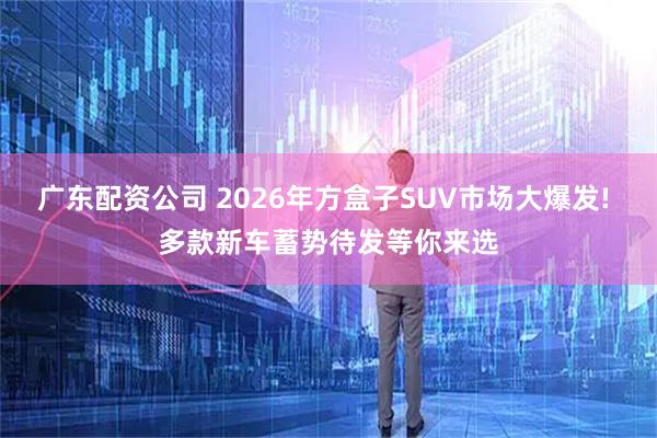 广东配资公司 2026年方盒子SUV市场大爆发! 多款新车蓄势待发等你来选
